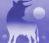 Taureau